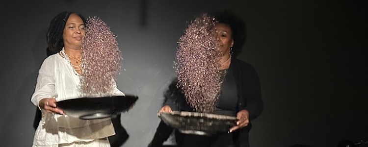 Haute-Fréquence : Seeds Quartet | Are We Here ?